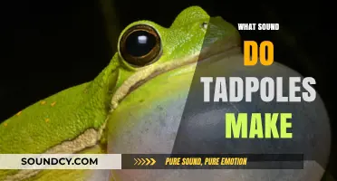 Unveiling the Surprising Sounds of Tadpoles: A Tiny Croak Mystery