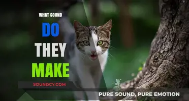 Unveiling the Unique Sounds Animals Make: A Comprehensive Guide