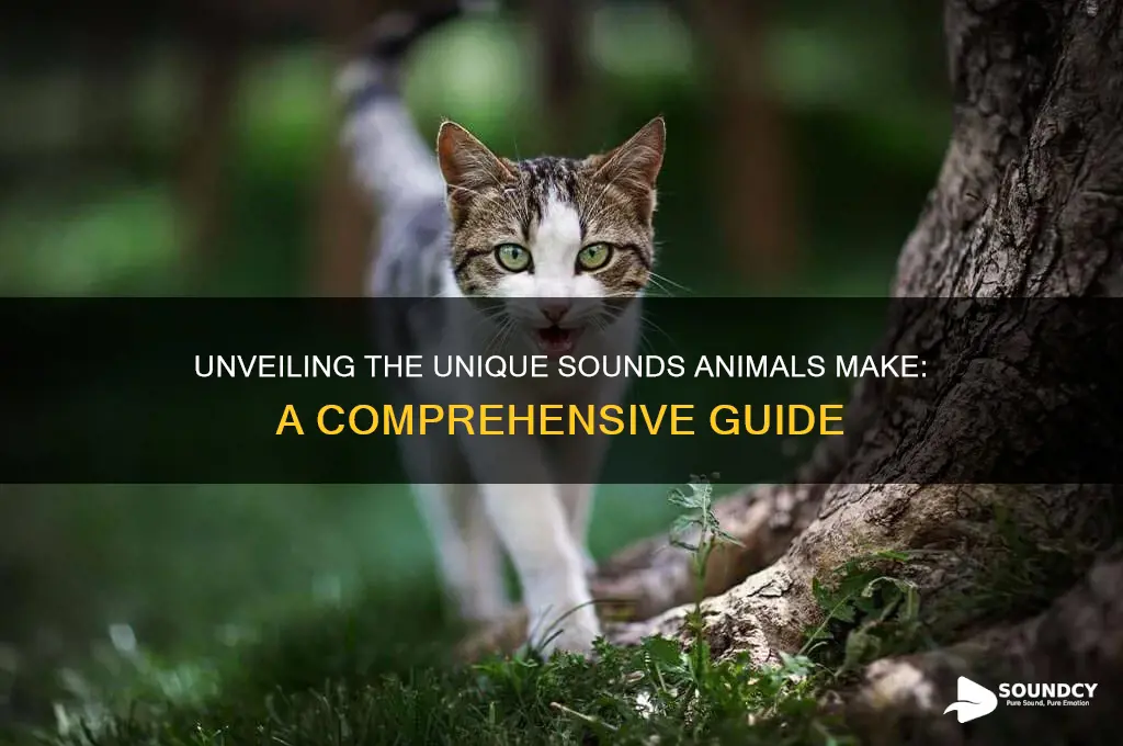 what sound do they make