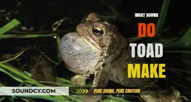 Unveiling the Unique Croaks: What Sound Do Toads Make?