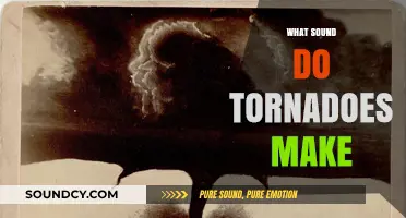 Unveiling the Terrifying Sounds of Tornadoes: What Do They Really Sound Like?