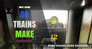 The Whistles, Clangs, and Rumbles: Decoding Train Sounds