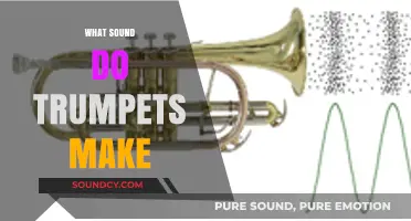 Exploring the Bright, Bold Sound of Trumpets: What Do They Really Make?