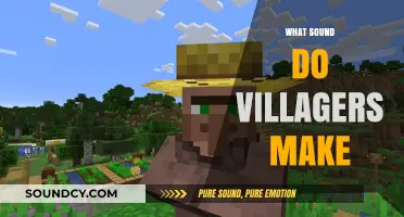 Unveiling the Unique Sounds of Villagers in Minecraft: A Guide