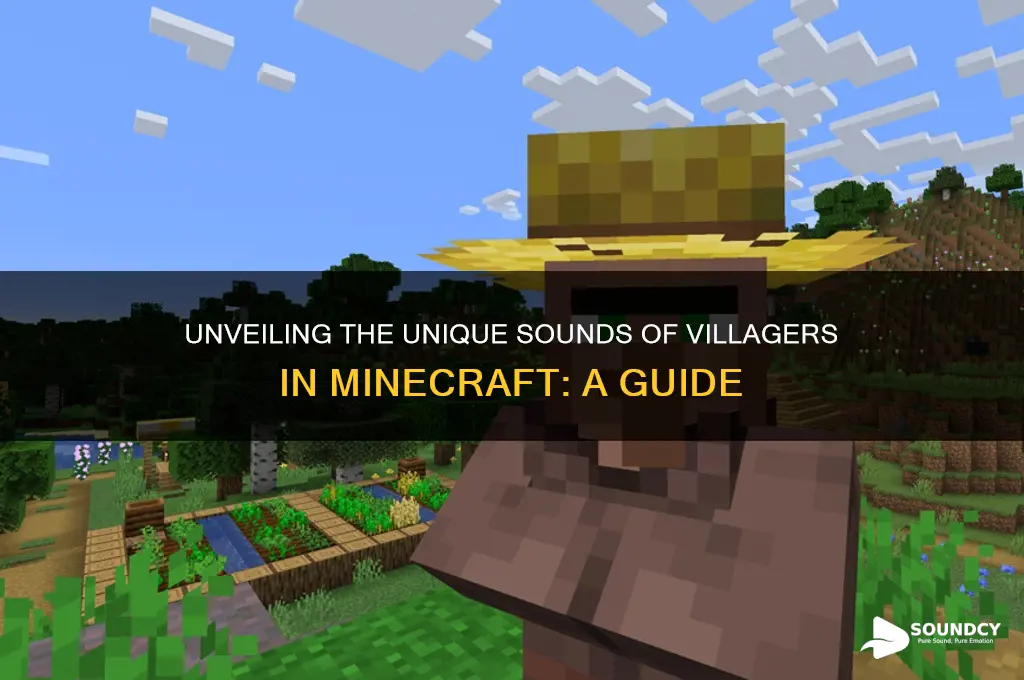 what sound do villagers make