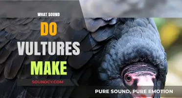 Unveiling the Mysterious Sounds of Vultures: What Do They Really Make?