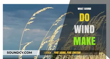 The Whispering Winds: Exploring the Sounds of Nature's Breeze
