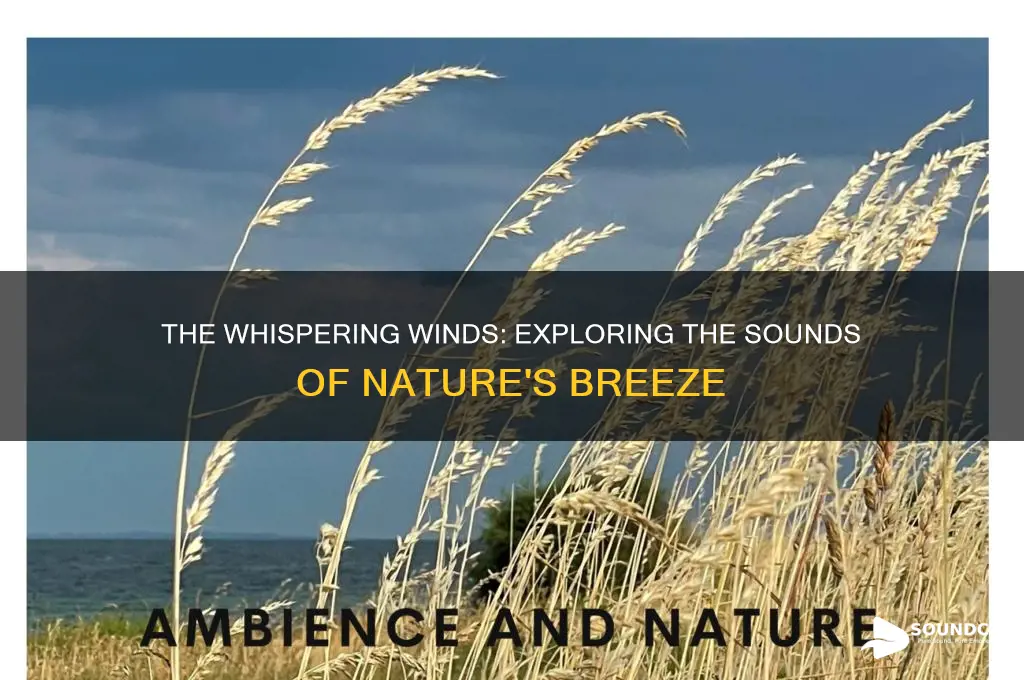 what sound do wind make