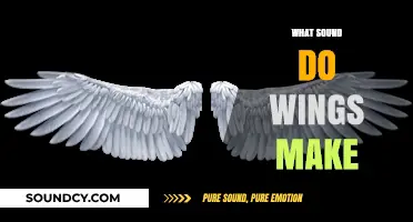 The Whispering Flutter: Exploring the Sounds of Wings in Nature