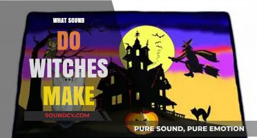 Unveiling the Mystical Sounds: What Noise Do Witches Truly Make?