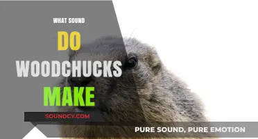 Unveiling the Mystery: What Sound Do Woodchucks Actually Make?