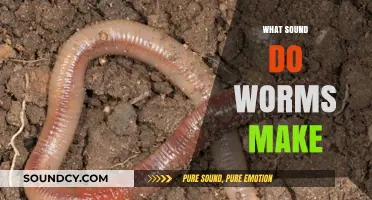 Unveiling the Silent World: Do Worms Make Any Sounds?