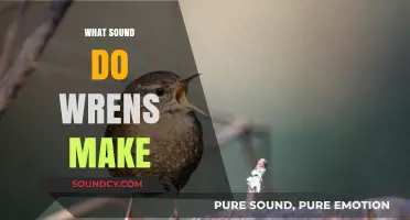 Discover the Unique and Enchanting Songs of Wrens in Nature