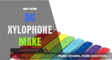 Discover the Unique, Bright, and Crisp Sound of a Xylophone