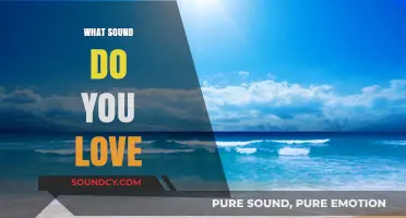 The Sounds That Soothe: Exploring the Noises We Love Most