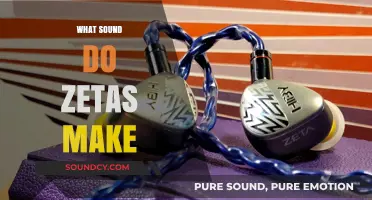 Unveiling the Zeta Sound: Exploring the Unique Noise Zetas Produce