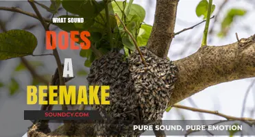 Buzzing Wonders: Unveiling the Unique Sounds of a Busy Beekeeper's Hive