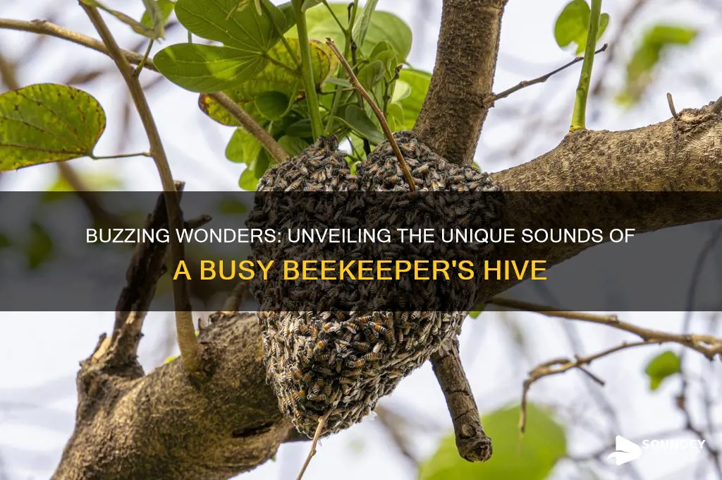 what sound does a beemake