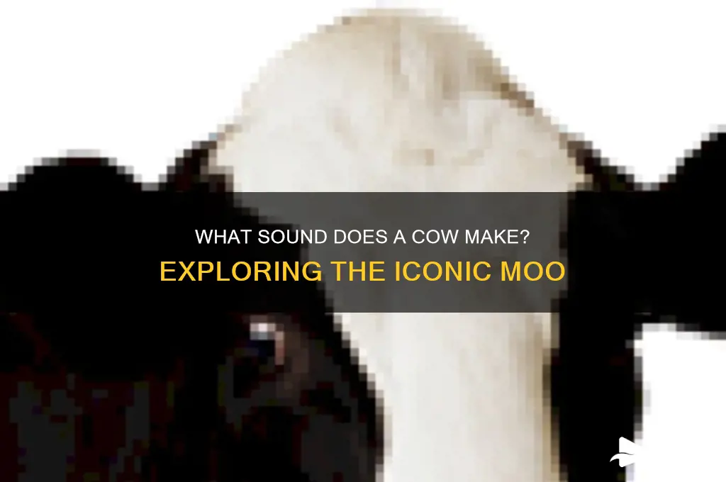 what sound does a cowmake