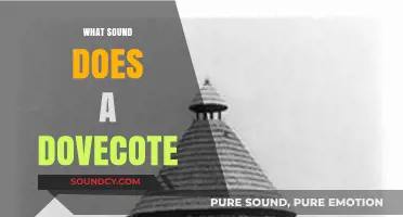 What Sound Does a Dovecote Make? Exploring the Gentle Coos of Pigeons