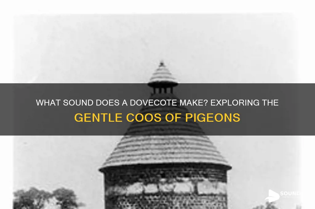 what sound does a dovecote