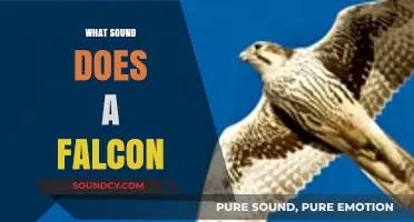 What Sound Does a Falcon Make? Unveiling the Unique Calls of Falcons