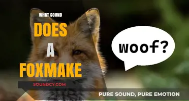 Unveiling the Mystery: What Sound Does a Fox Make?