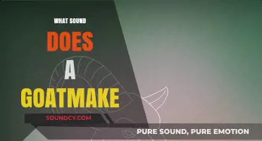 Unraveling the Unique Vocalizations: What Sound Does a Goat Make?