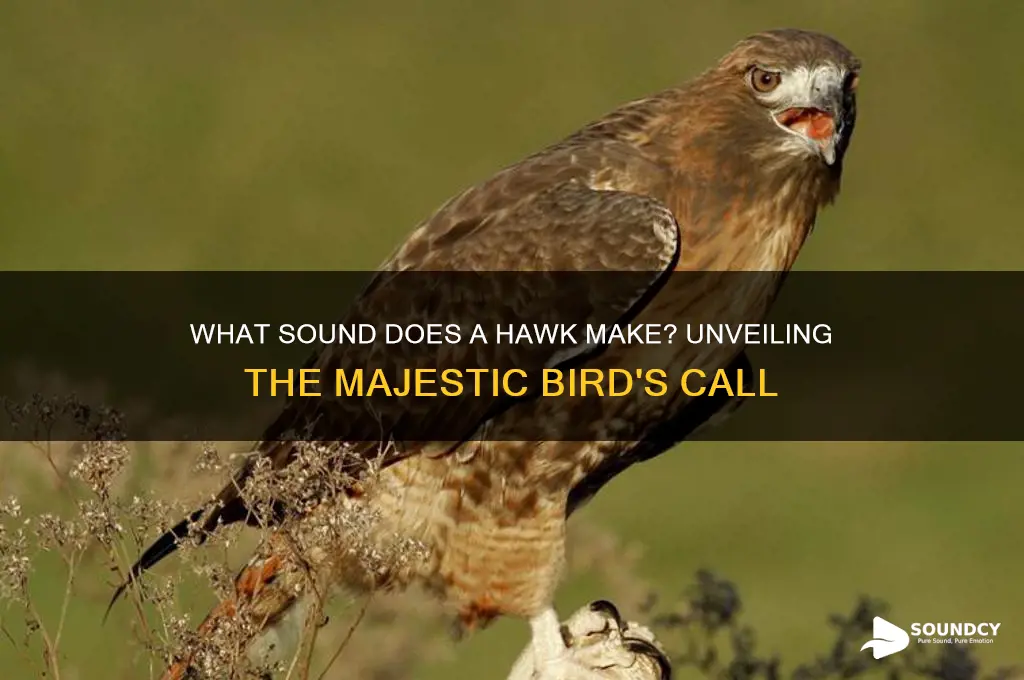 what sound does a haw