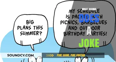 What Sound Does a Joke Make? Exploring the Laughter Behind Humor