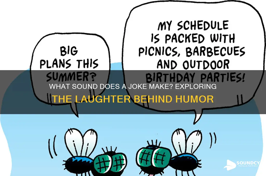 what sound does a joke