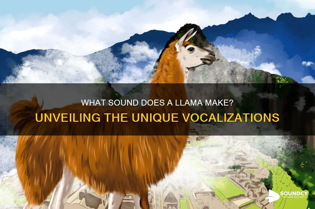 what sound does a l