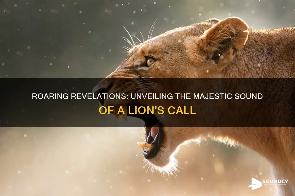 what sound does a lionmake