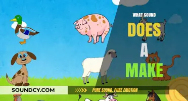 What Sound Does a Make? Unraveling the Mystery of Animal Noises