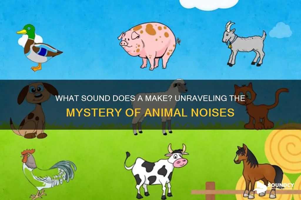 what sound does a make