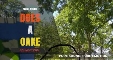 Unveiling the Unique Sounds of an Oak Tree in Nature