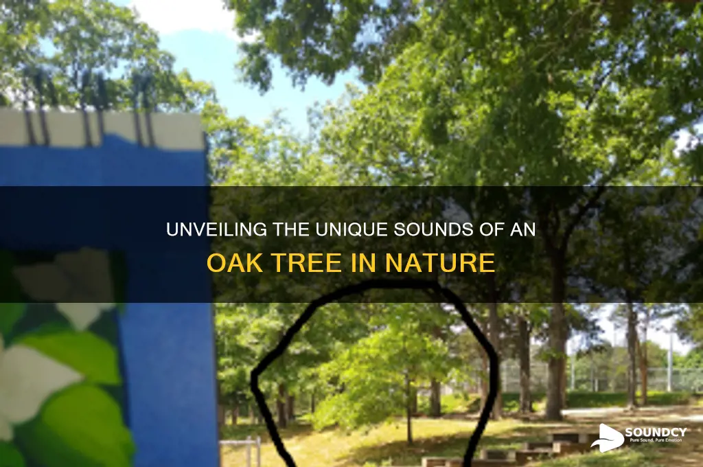 what sound does a oake