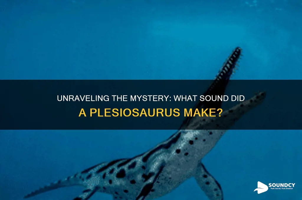 what sound does a pleisosurus