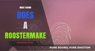 What Sound Does a Rooster Make? Exploring the Iconic Crow