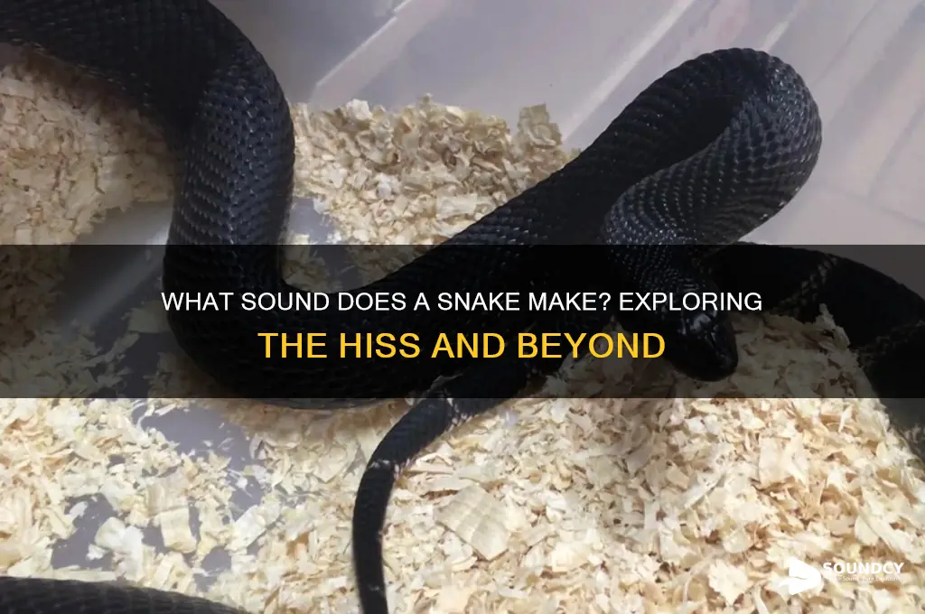 what sound does a s
