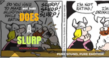 Exploring the Unique Sound of a Slurp: What Does It Mean?