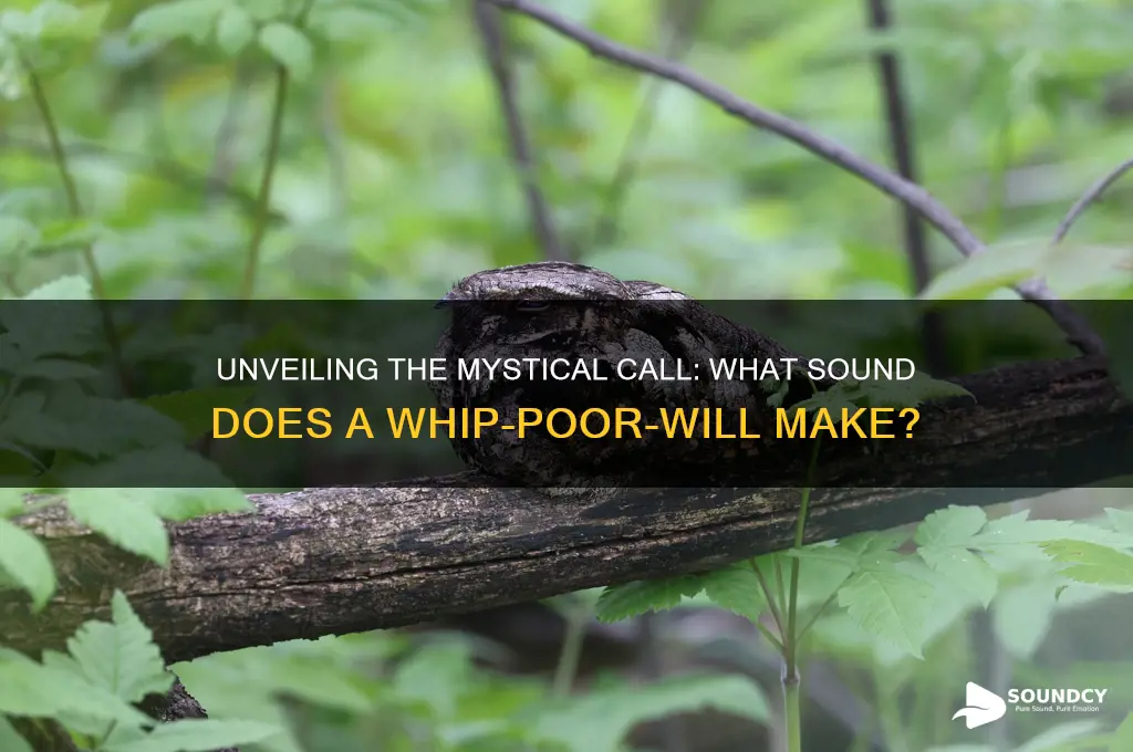 what sound does a wipperwill