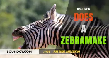 Unveiling the Unique Vocalizations: What Sound Does a Zebra Make?