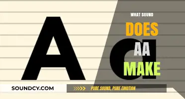 Decoding the Sound of 'Aa': A Phonetic Exploration for Beginners