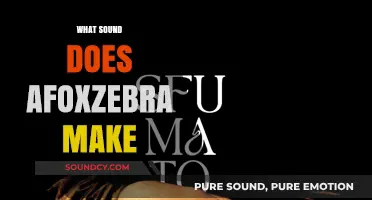 Unveiling the Mystery: What Sound Does an Afoxzebra Make?