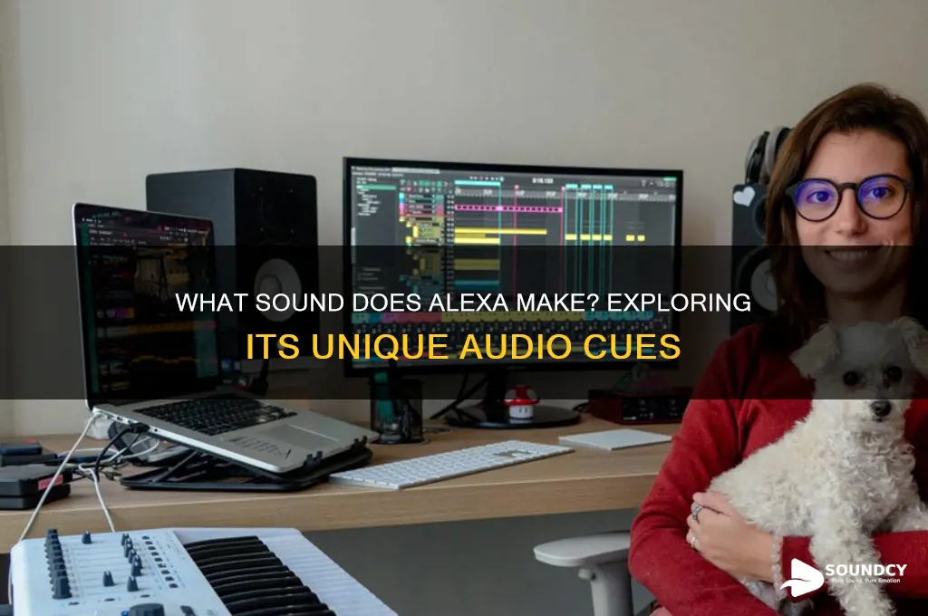 what sound does alexa make