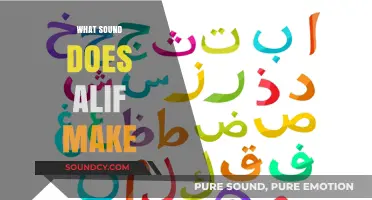 Unveiling the Unique Sound of Alif in Arabic Phonetics