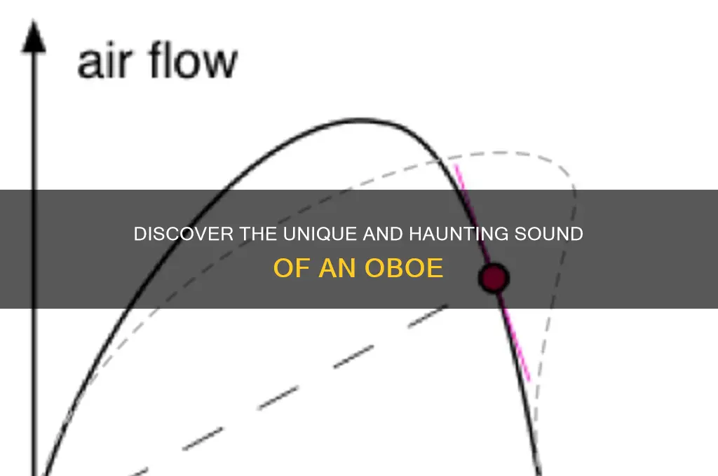 what sound does an oboemake