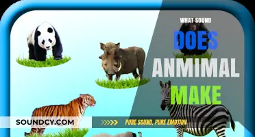 Exploring the Unique Sounds Animals Make in the Wild