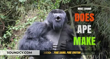 Unveiling the Unique Vocalizations: What Sound Does an Ape Make?